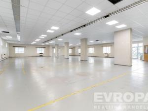 Pronájem skladu, Havlíčkův Brod, okres havlíčkův brod, 8000 m2