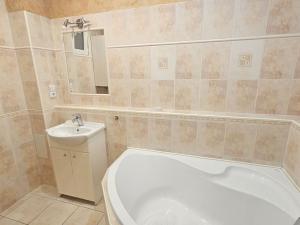 Pronájem bytu 1+1, Teplice, U zámku, 49 m2