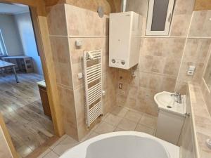 Pronájem bytu 1+1, Teplice, U zámku, 49 m2
