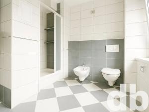 Pronájem bytu 2+kk, Karlovy Vary, Majakovského, 58 m2