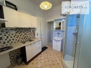 Pronájem bytu 1+kk, Praha - Nové Město, Zlatnická, 35 m2