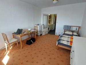 Pronájem bytu 1+kk, Brno, Novoměstská, 27 m2