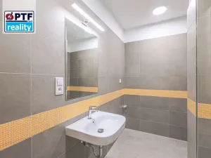 Pronájem bytu 1+kk, Plzeň, Americká, 59 m2