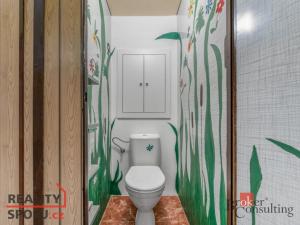 Prodej bytu 2+1, Třebíč - Nové Dvory, I. Olbrachta, 49 m2