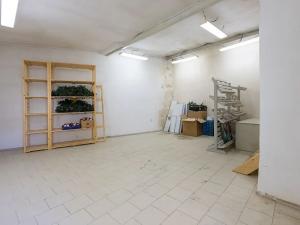Prodej obchodního prostoru, Liberec, Palackého, 315 m2