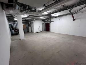 Pronájem skladu, Frýdek-Místek - Místek, 8. pěšího pluku, 82 m2