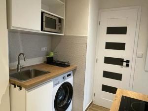 Pronájem bytu 1+kk, Cheb, Májová, 22 m2