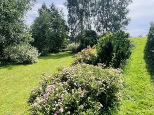 Prodej chaty, Brzice - Proruby, 16 m2