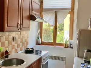 Pronájem bytu 1+1, Praha - Košíře, Vrchlického, 33 m2