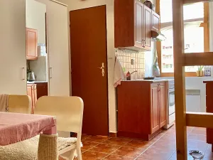 Pronájem bytu 1+1, Praha - Košíře, Vrchlického, 33 m2