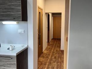 Pronájem bytu 2+kk, Žatec, Otokara Březiny, 52 m2