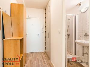 Pronájem bytu 1+kk, Brno - Pisárky, Libušino údolí, 19 m2