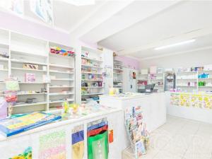 Prodej rodinného domu, Mladá Vožice, Husovo náměstí, 232 m2