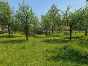 Prodej pozemku pro bydlení, Sedlec, 490 m2