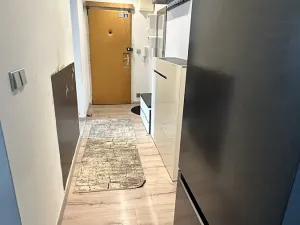Pronájem bytu 3+kk, Praha - Nusle, Na Pankráci, 85 m2