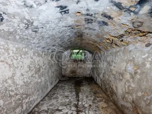 Prodej vícegeneračního domu, Žandov - Radeč, 250 m2