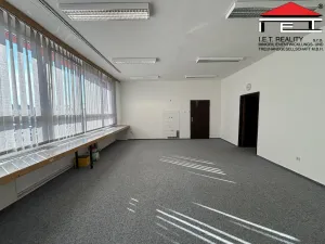 Pronájem skladu, Ostrava, Slovenská, 334 m2