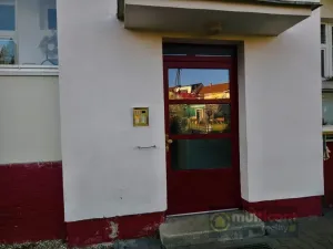 Prodej bytu 3+1, Vyškov - Vyškov-Předměstí, Fučíkova, 69 m2