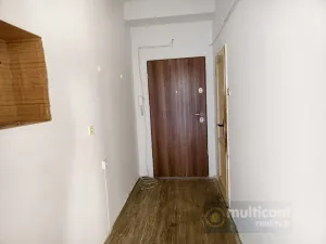 Prodej bytu 3+1, Vyškov - Vyškov-Předměstí, Fučíkova, 69 m2