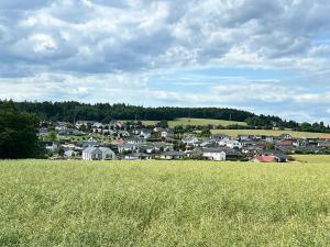 Prodej rodinného domu, Nová Ves pod Pleší, V Aleji, 145 m2