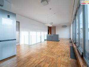 Prodej bytu 4+kk, Praha - Žižkov, Prokopova, 237 m2