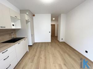 Pronájem bytu 1+1, Prostějov, Divišova, 46 m2