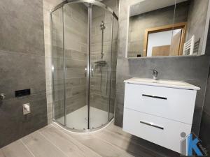 Pronájem bytu 1+1, Prostějov, Divišova, 46 m2