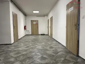 Pronájem výrobních prostor, Březno - Střezov, 1200 m2