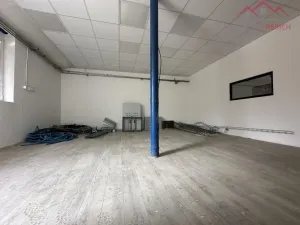 Pronájem výrobních prostor, Březno - Střezov, 1200 m2