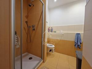 Pronájem bytu 1+1, Hradec Králové - Nový Hradec Králové, Pod Zámečkem, 38 m2