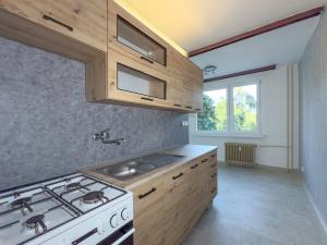 Pronájem bytu 1+1, Chomutov, Písečná, 42 m2