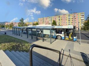 Pronájem bytu 1+1, Chomutov, Písečná, 42 m2