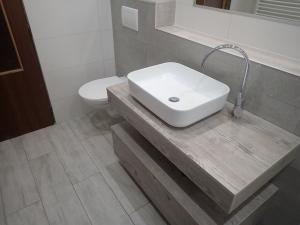 Pronájem bytu 6+kk a větší, Liberec - Liberec XIV-Ruprechtice, Purkyňova, 138 m2