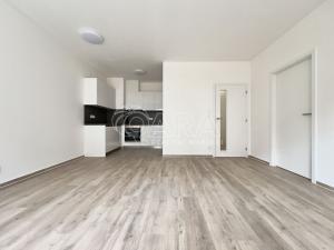 Pronájem bytu 2+kk, Brno - Ponava, Střední, 58 m2