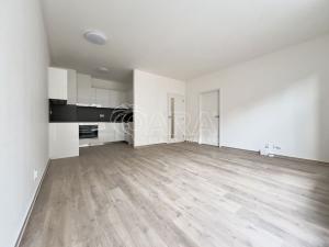 Pronájem bytu 2+kk, Brno - Ponava, Střední, 58 m2