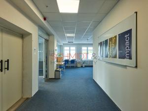 Pronájem kanceláře, Hustopeče, Herbenova, 526 m2