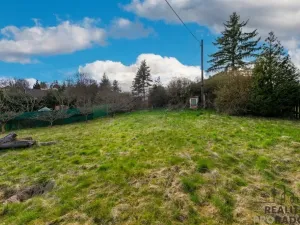 Prodej pozemku pro bydlení, Zvíkovec, 284 m2
