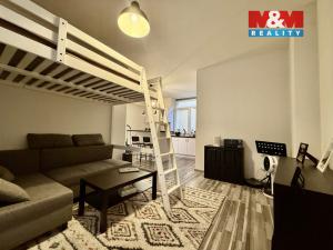 Pronájem bytu 1+kk, Ostrava - Moravská Ostrava, Zámecká, 44 m2
