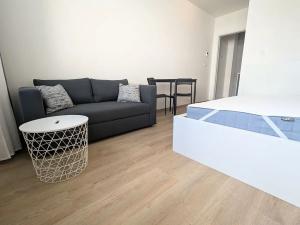 Pronájem bytu 1+kk, Brno, Placzkova, 27 m2