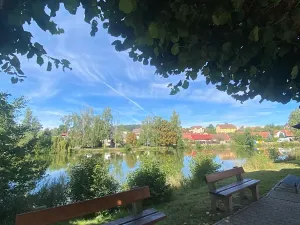 Prodej pozemku pro bydlení, Lnáře, 5991 m2