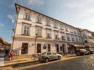 Pronájem obchodního prostoru, České Budějovice, Piaristická, 64 m2