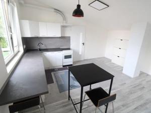 Pronájem bytu 1+kk, Praha - Lahovice, Na staré, 51 m2