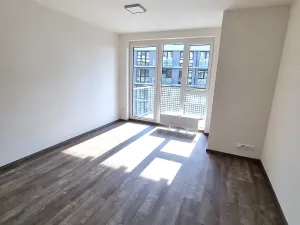 Pronájem bytu 1+kk, Praha - Třebonice, Thomasova, 30 m2
