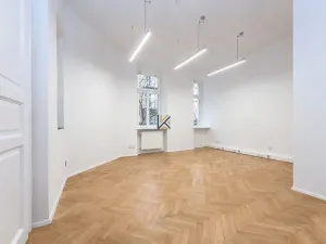 Pronájem kanceláře, Praha, Čermákova, 170 m2