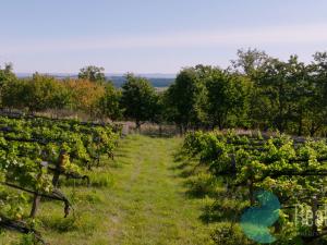 Prodej zemědělské usedlosti, Lhenice - Hrbov, 170 m2