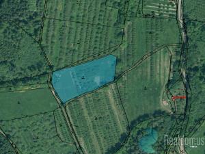 Prodej zemědělské usedlosti, Lhenice - Hrbov, 170 m2