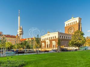 Prodej bytu 2+kk, Praha - Vinohrady, Laubova, 63 m2