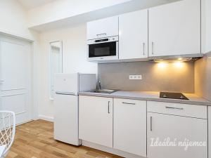Pronájem bytu 1+kk, Praha - Vinohrady, Varšavská, 26 m2