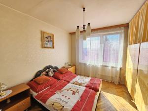 Prodej bytu 2+1, Velké Opatovice, Hliníky, 53 m2