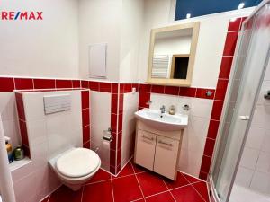 Pronájem bytu 2+kk, Jihlava, Evžena Rošického, 54 m2